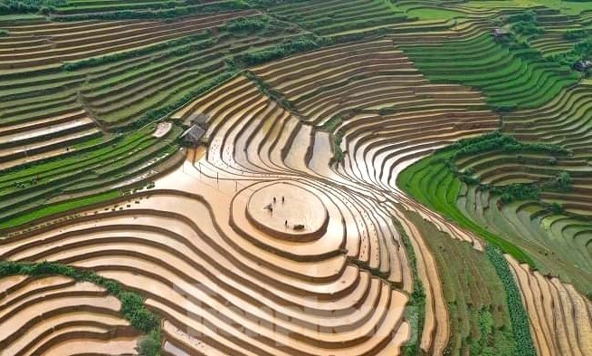 Admire The Alluring Scenic View Of Mu Cang Chai In Rainy Season