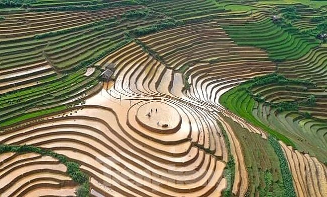 Admire The Alluring Scenic View Of Mu Cang Chai In Rainy Season