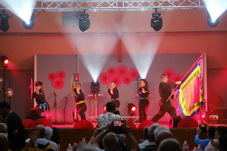 Grand Vietnam Festival Held for Second Time in French Locality