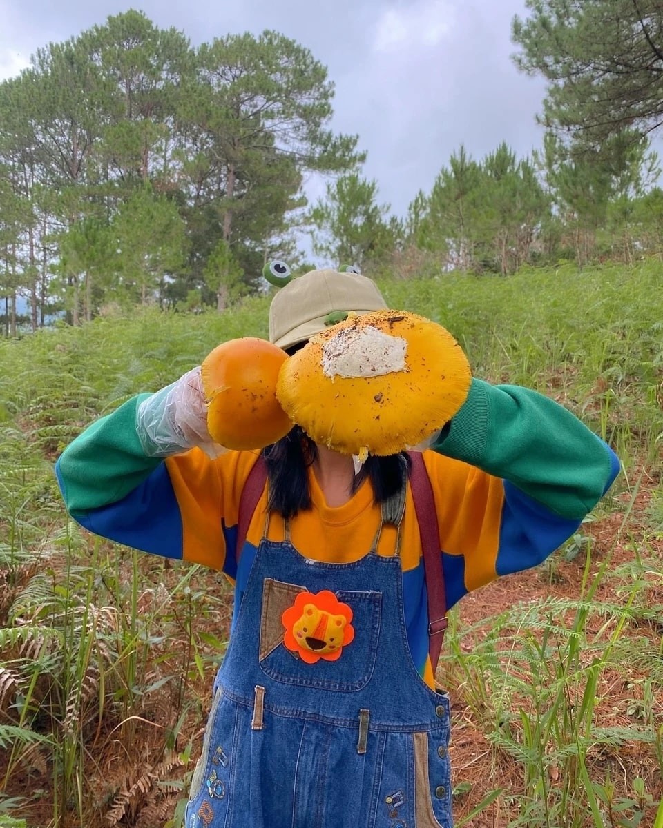 Experience Mushroom Hunting After Rainy Season In Da Lat
