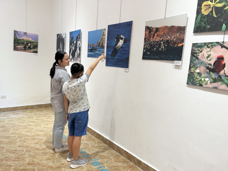 The photo exhibition attracts young children to visit and experience. The photo exhibition attracts young children to visit and experience.