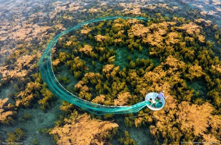 Vietnam's Cinematic Landscapes Highlighted in Art Exhibition in US Vietnam's Cinematic Landscapes Highlighted in Art Exhibition in US
