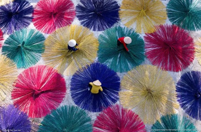 Vietnam's Cinematic Landscapes Highlighted in Art Exhibition in US