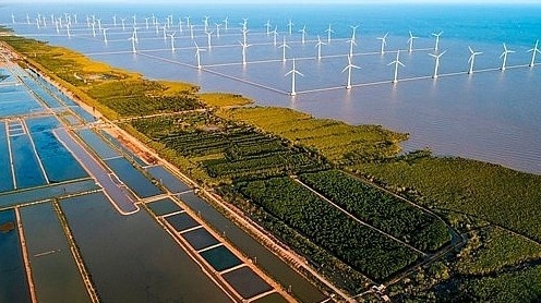 Vietnam - EU cooperation for Global Governance to Respond to Climate Change: Opportunities and Ways Forward