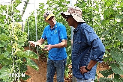French Newspaper Applauds Son La's Ecological Agriculture