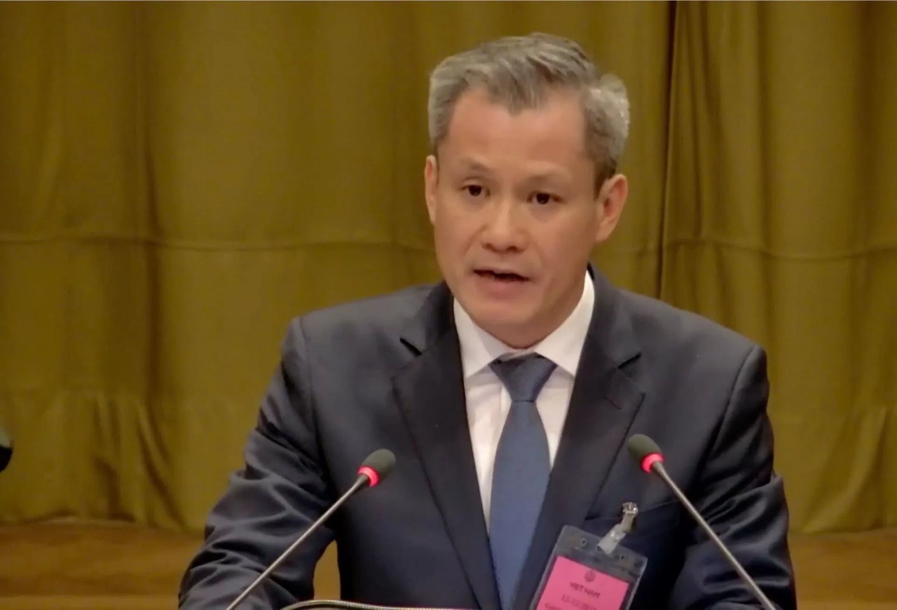 Nguyen Dang Thang, Director of the Department of Law and International Treaties, Ministry of Foreign Affairs Nguyen Dang Thang spoke.