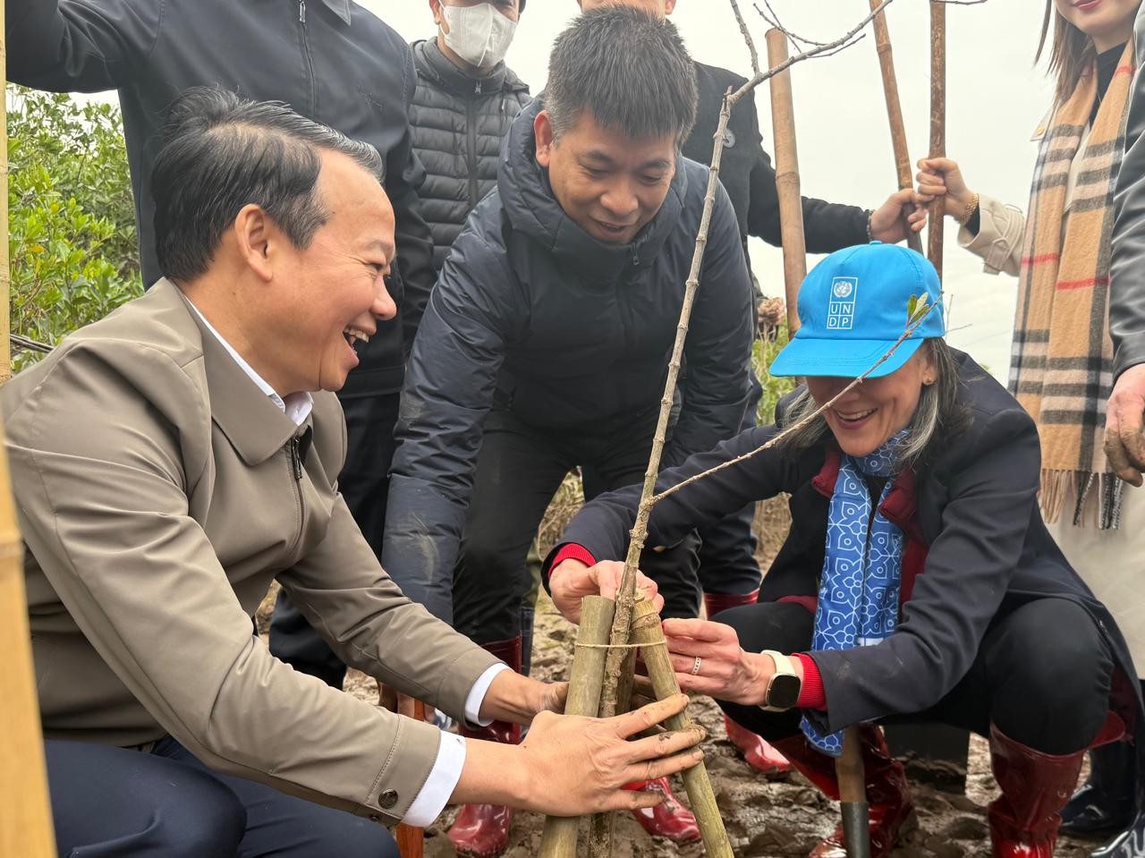 undp resident representative joins tree planting festival in thai binh
