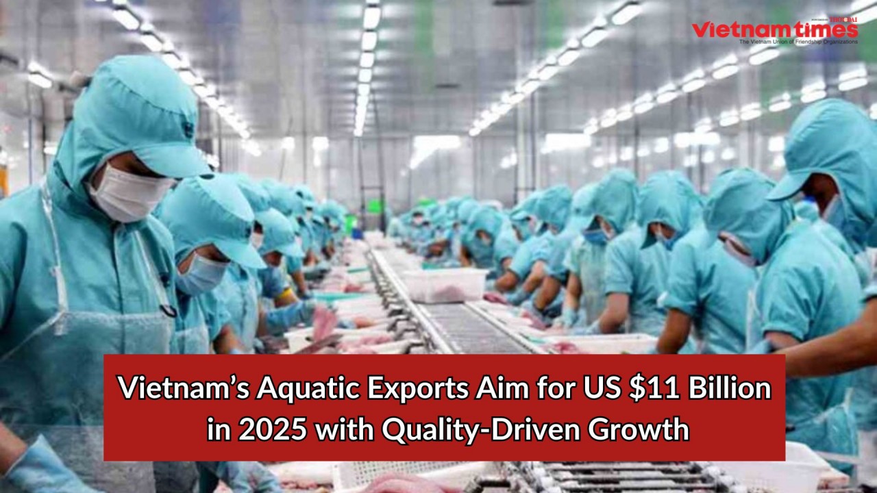 Vietnam’s Aquatic Exports Aim for US $11 Billion in 2025 with Quality-Driven Growth