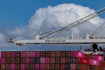 US Businesses Struggle Amid Trump's Unpredictable Tariff Policies