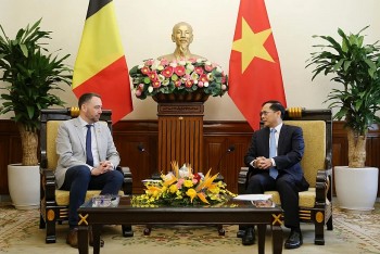 Vietnam News Today (Apr. 1): Vietnam Values Multifaceted Cooperation With Belgium