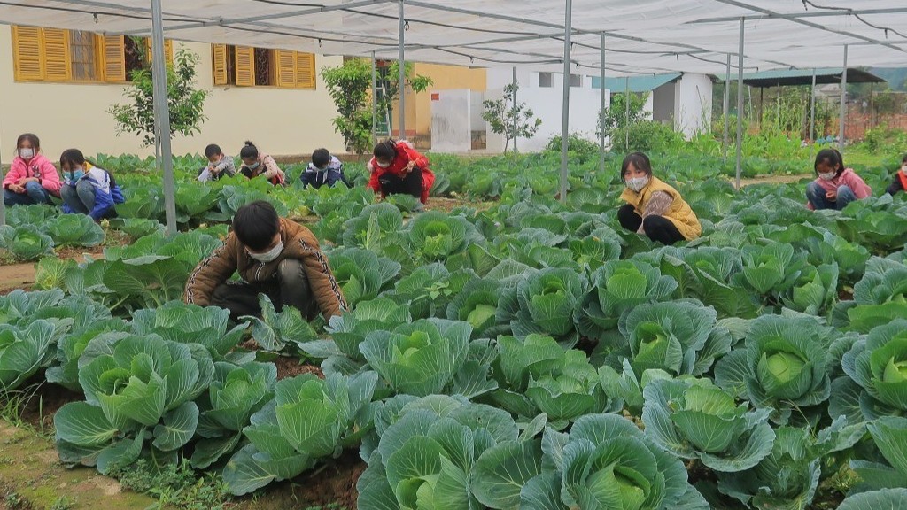 Save the Children: Supporting Youth from Nutrition to Education