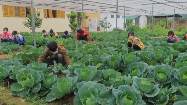 Save the Children: Supporting Youth from Nutrition to Education