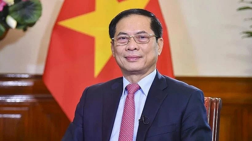 Deputy Prime Minister Bui Thanh Son will lead the task force. (Photo: VNA)