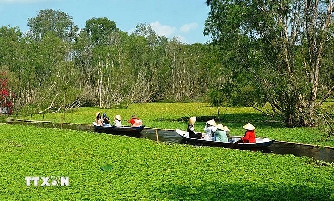 Tourists visit Tra Su forest in Tinh Bien township, the southern province of An Giang. (Photo: VNA)