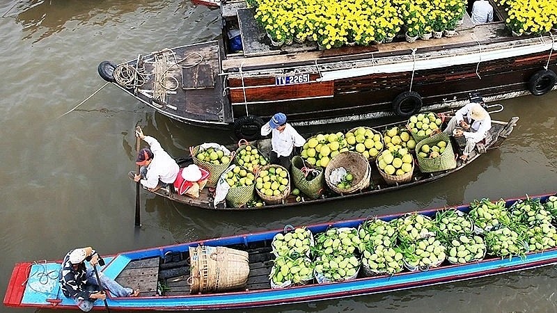 Fruit trading activities in the riverine orchards of the Southern region of Vietnam always attract tourists. (Photo: Ngoc Mai)