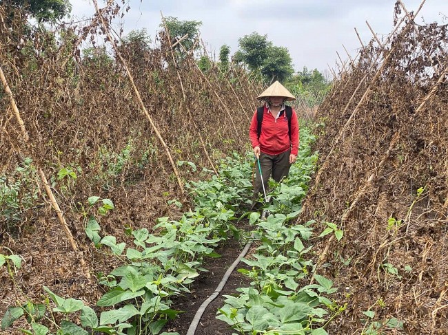 She Feeds the World: 8,000 Individuals Adopt More Sustainable Agricultural Practices