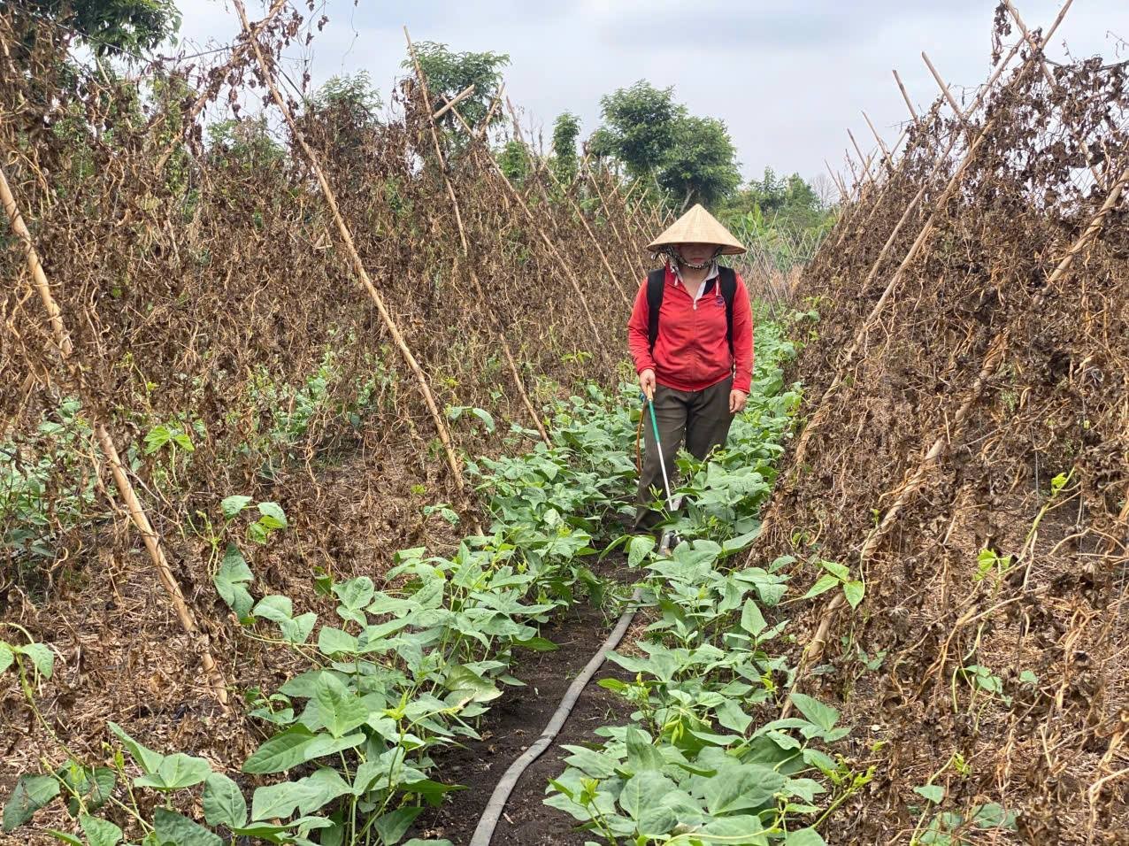 She Feeds the World: 8,000 Individuals Adopt More Sustainable Agricultural Practices
