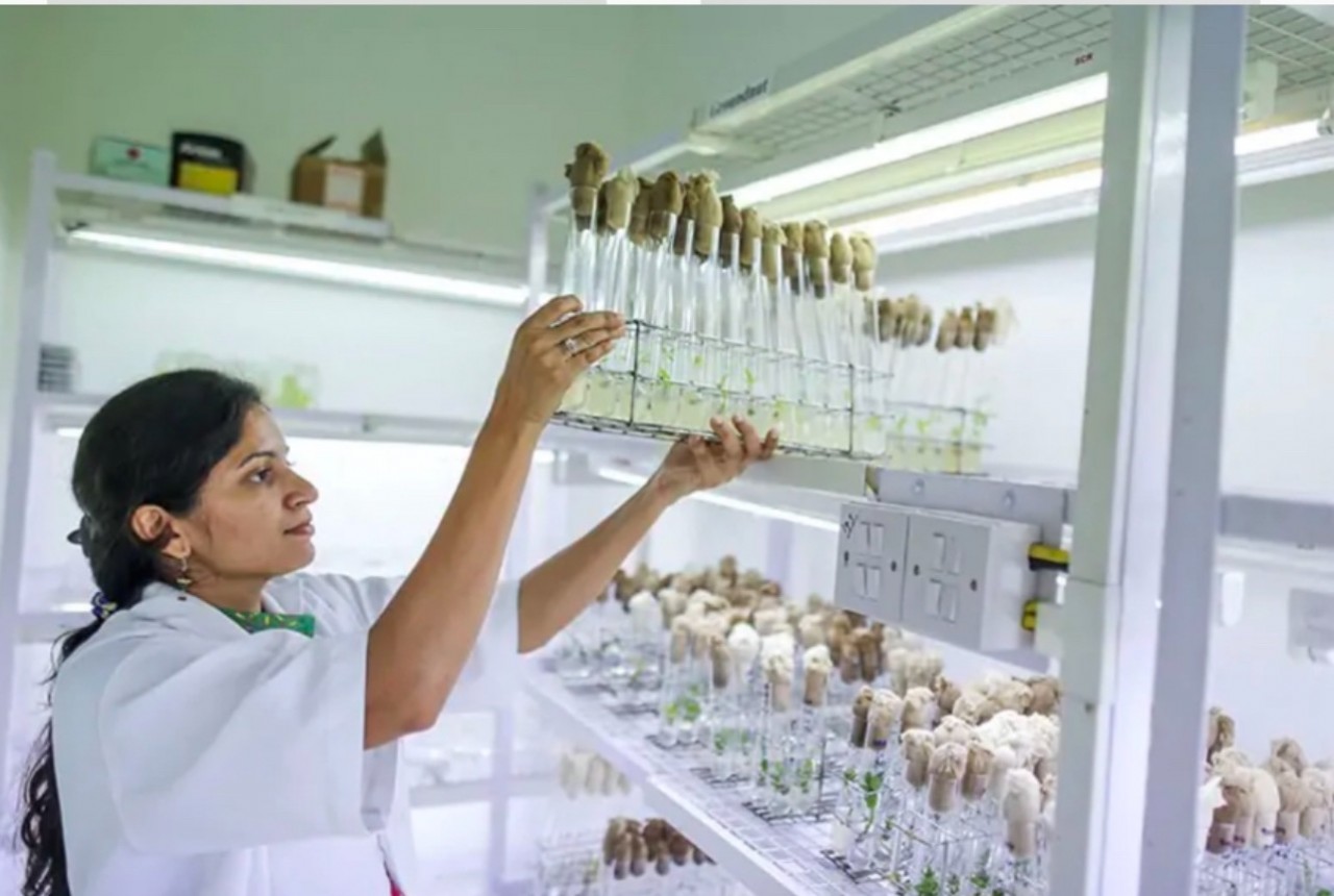 India emerging as a leading global centre for biotechnology ecosystem