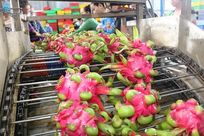 Vietnam News Today (May 2): Overseas Vietnamese Help Vietnamese Products Go Global