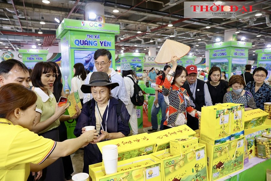 [Photo] Peace Boat delegates immersed in Quang Ninh's Hues