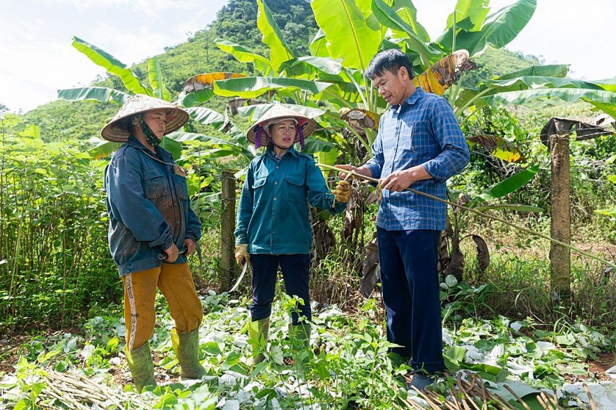CARE Supports Hoa Binh Residents to Develop Sustainable Hemp Products