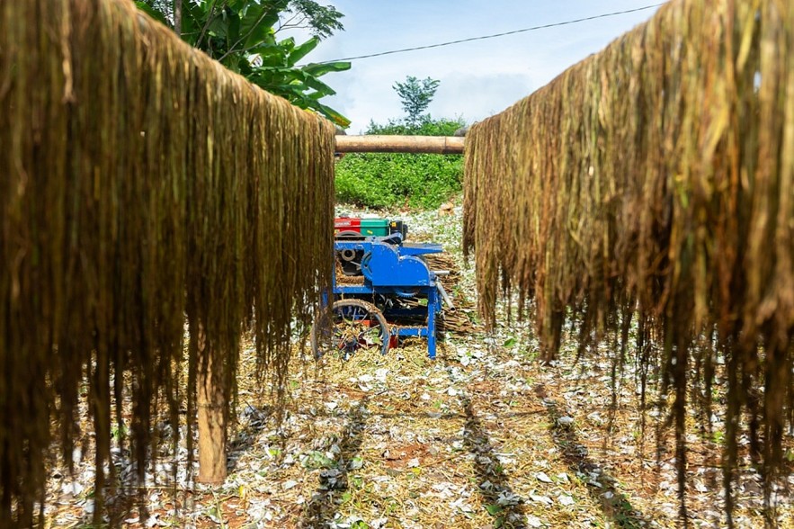 CARE Supports Hoa Binh Residents to Develop Sustainable Hemp Products