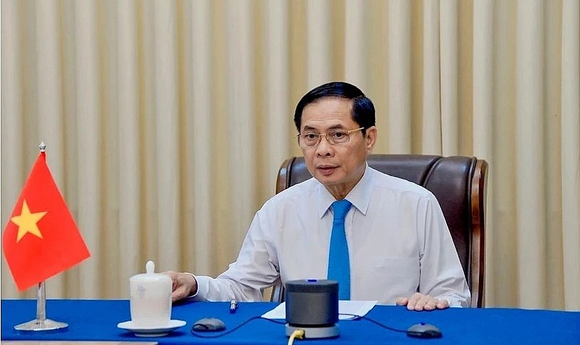 Deputy Prime Minister and Minister of Foreign Affairs Bui Thanh Son (Photo: VNA)