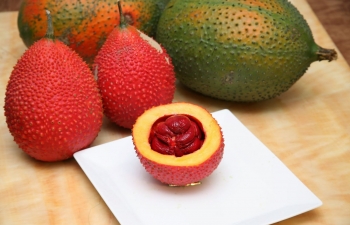 xoi gac fortunate red sticky rice of vietnam