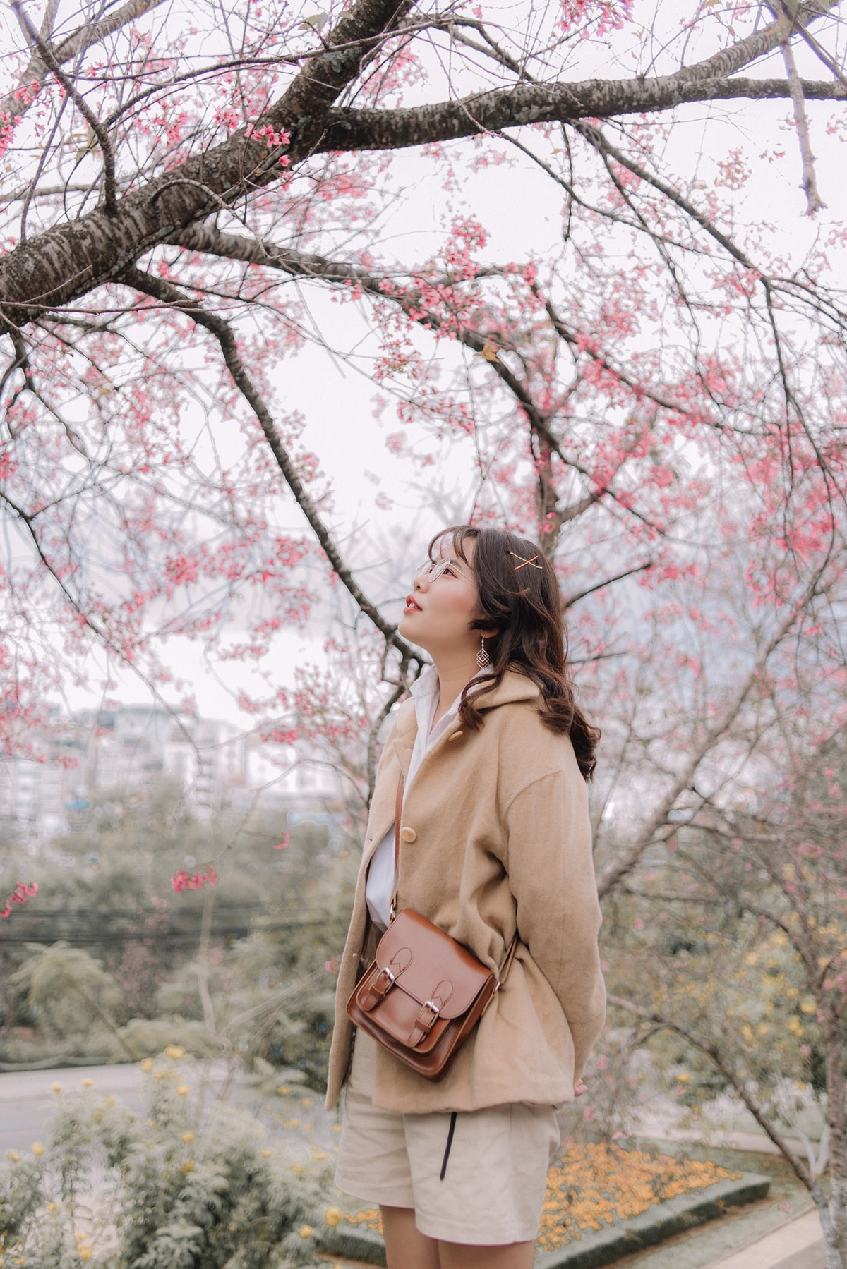 Top ideal places to admire Tet flowers in Da Lat