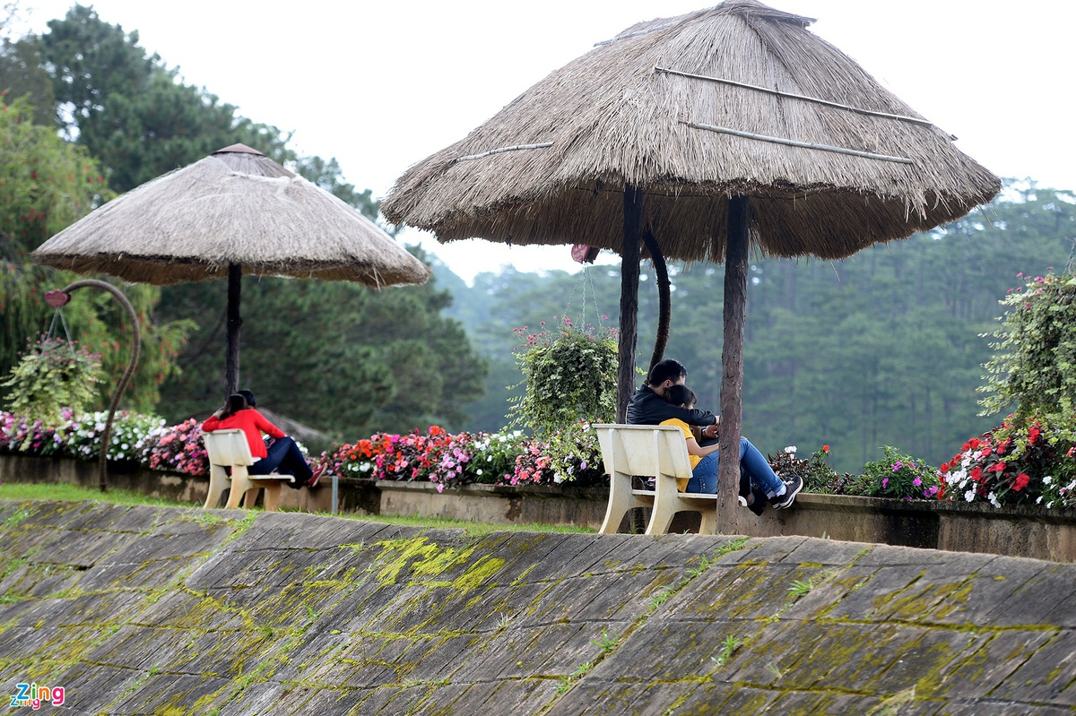 Top ideal places to admire Tet flowers in Da Lat
