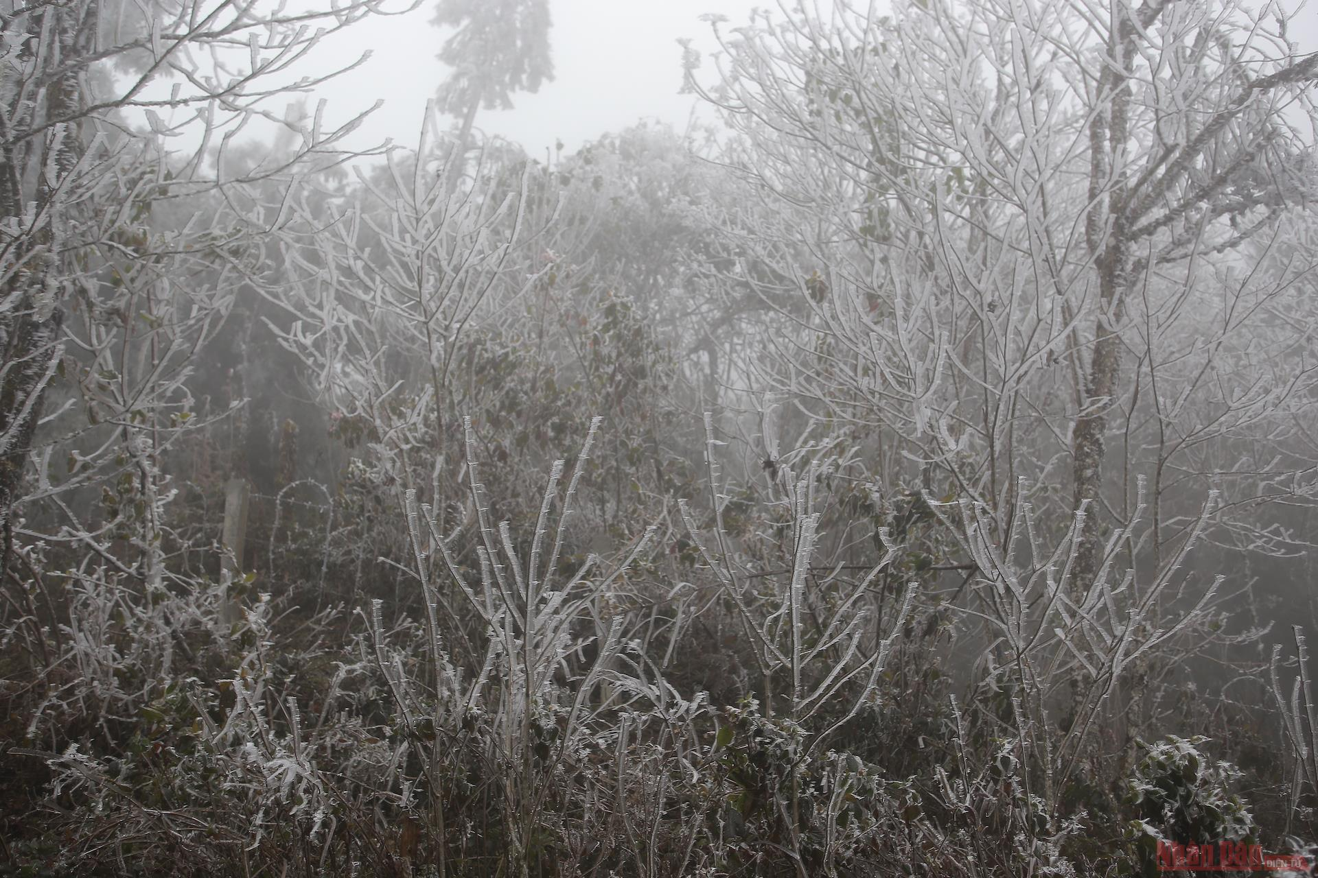 Northern Vietnam mountains engulfed in white snow