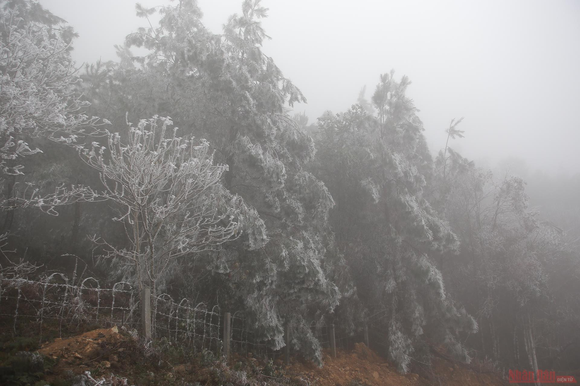 Northern Vietnam mountains engulfed in white snow