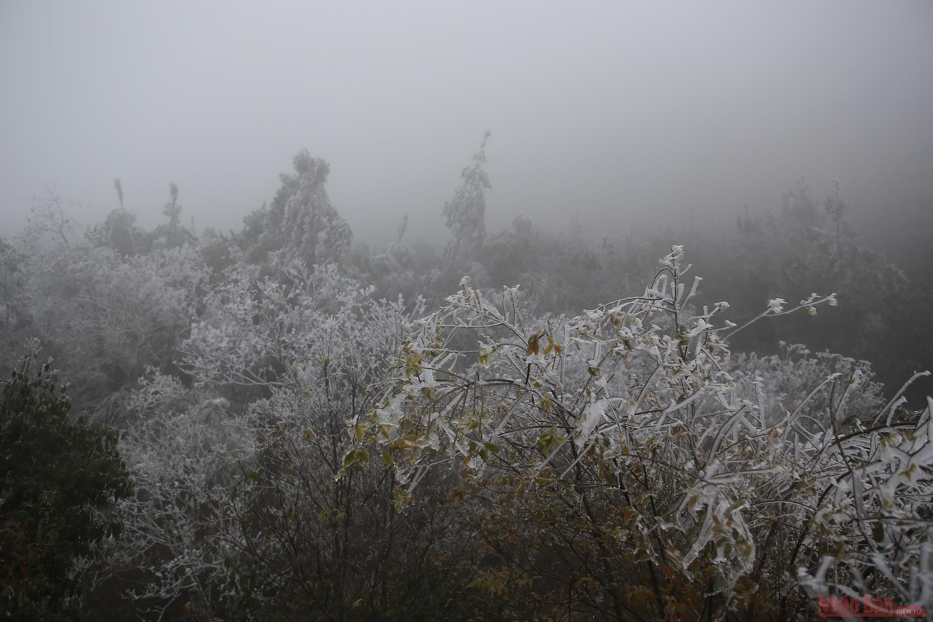 Northern Vietnam mountains engulfed in white snow