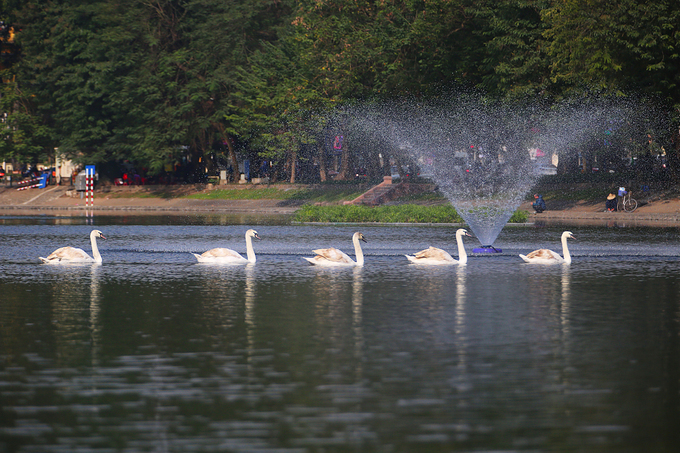hanoi mulls opening walking space around thien quang lake