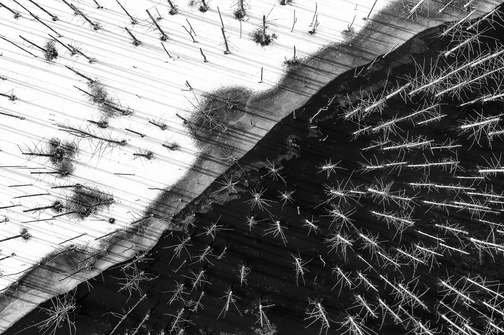 Two Vietnamese photographers claim prizes at Int’l Monochrome Awards 2020