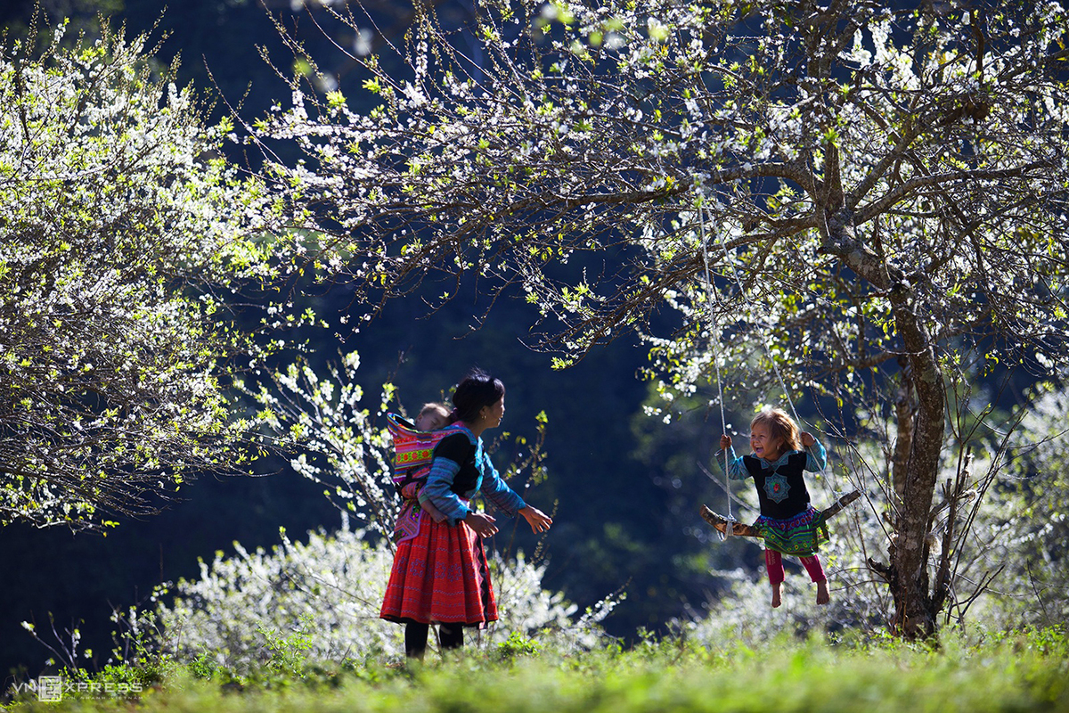 Spring colors in Vietnam’s northern highlands