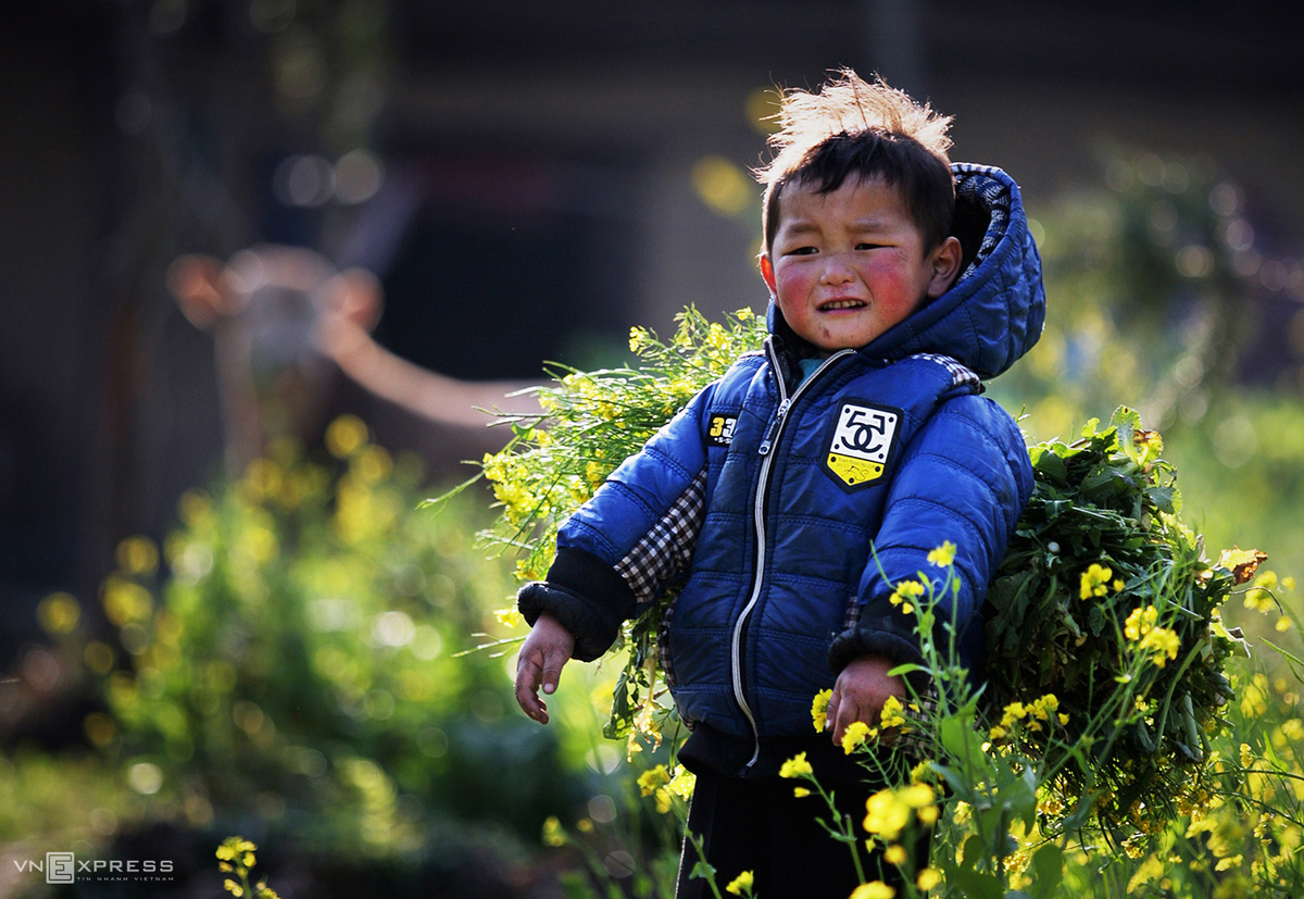 Spring colors in Vietnam’s northern highlands