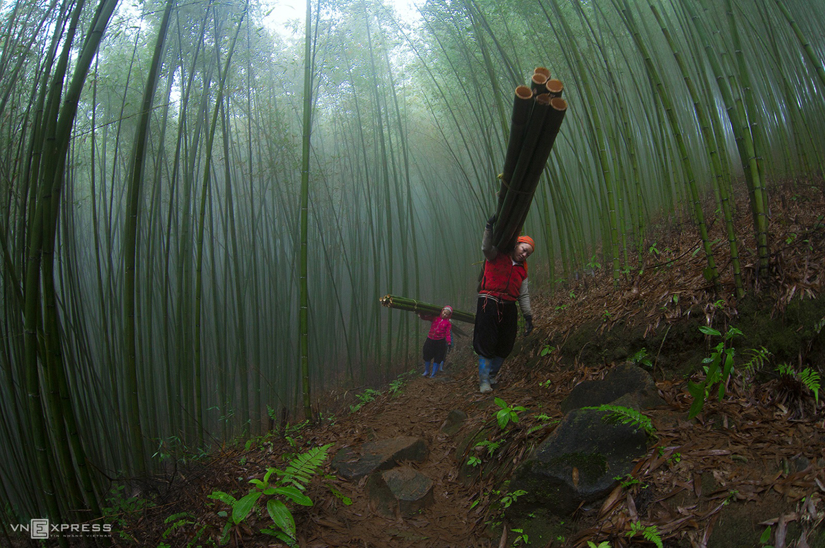 Spring colors in Vietnam’s northern highlands