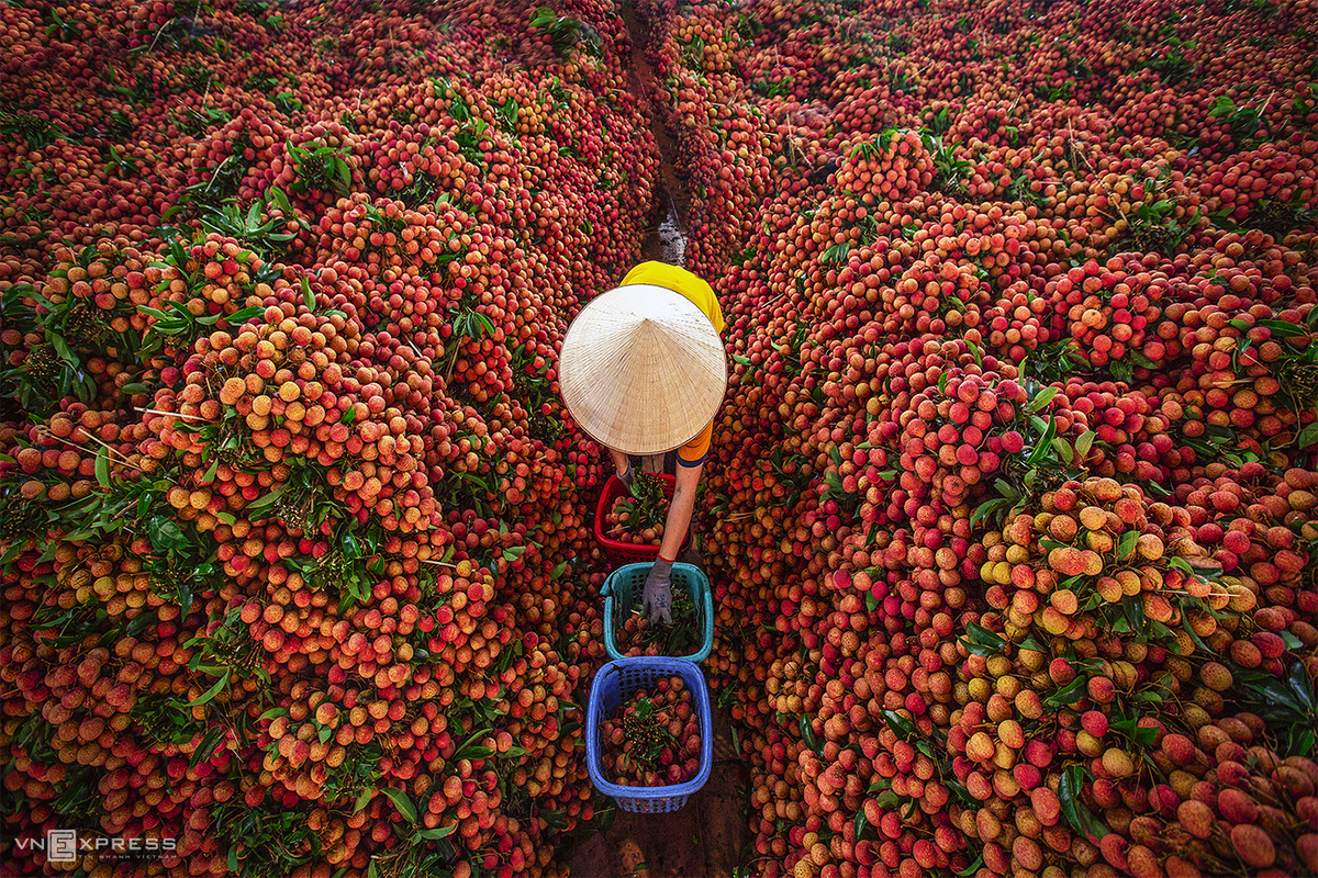 Spring colors in Vietnam’s northern highlands