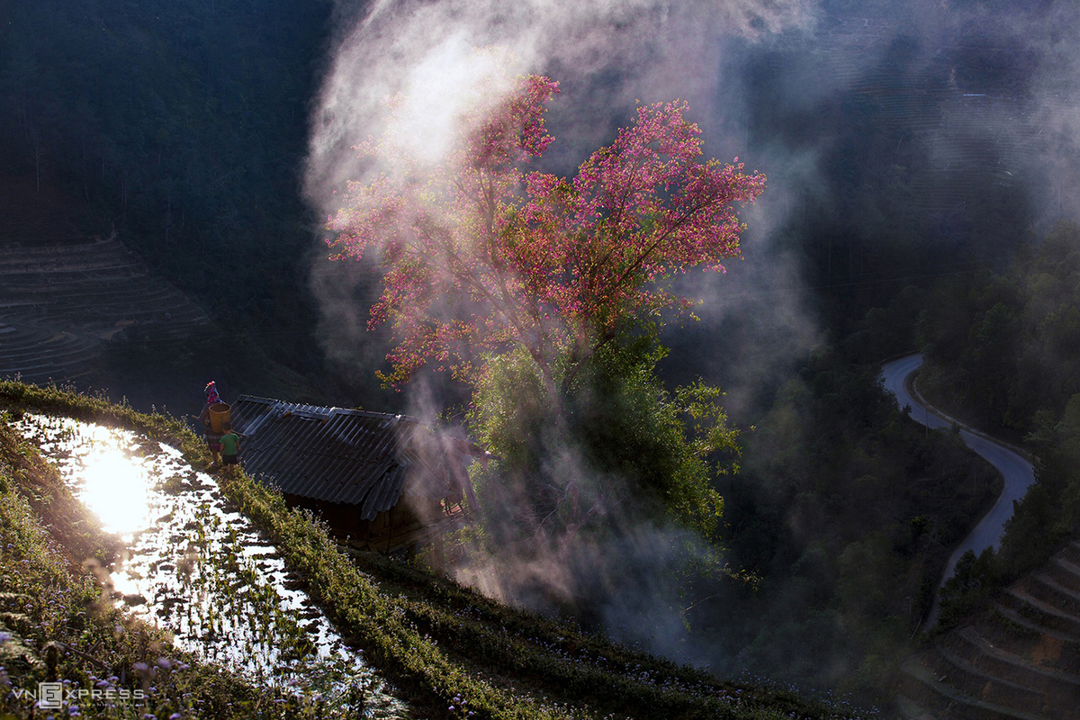 Spring colors in Vietnam’s northern highlands