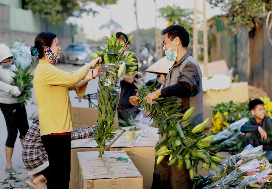 Picturesque scene at Vietnam’s famous flower villages ahead of Tet