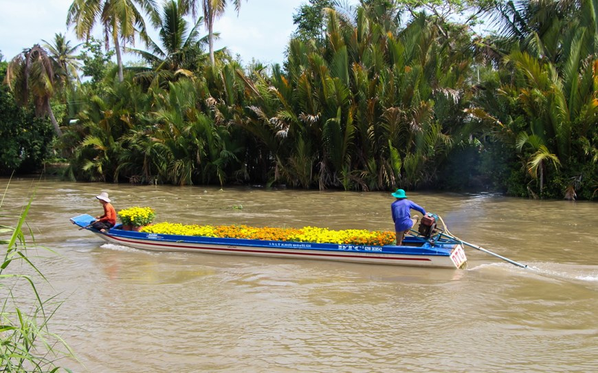 Picturesque scene at Vietnam’s famous flower villages ahead of Tet