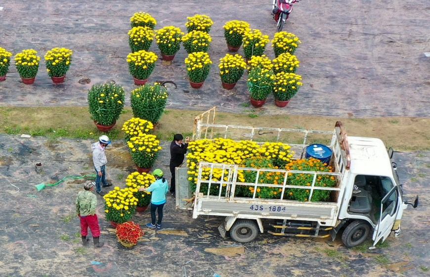 Picturesque scene at Vietnam’s famous flower villages ahead of Tet