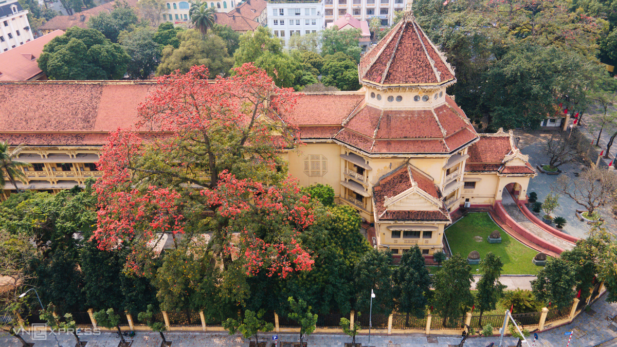 Hanoi dyed in red of silk cotton flowers