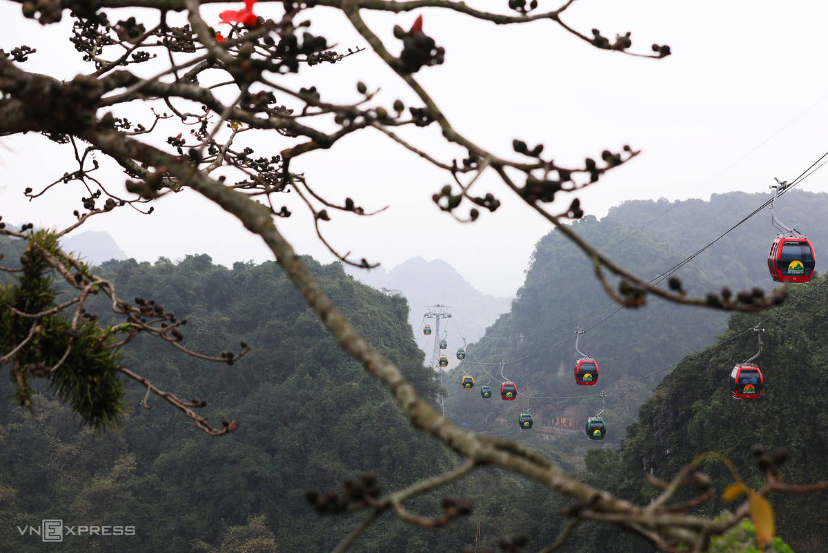Hanoi dyed in red of silk cotton flowers