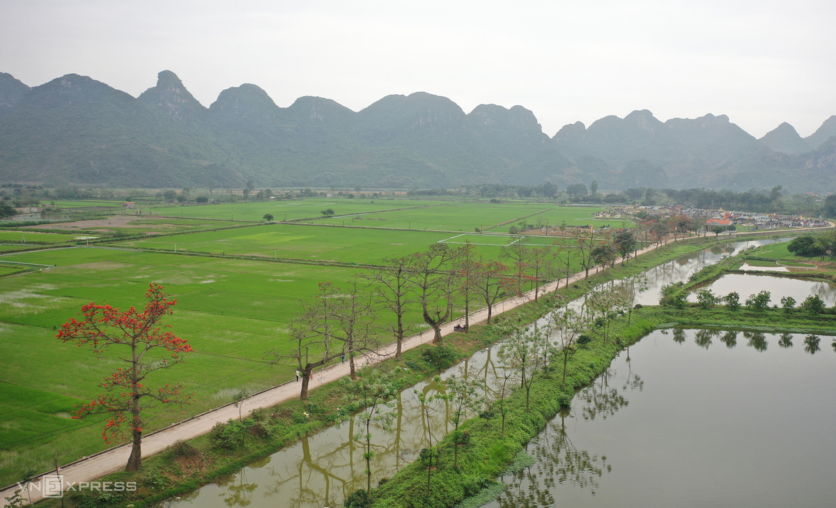 Hanoi dyed in red of silk cotton flowers