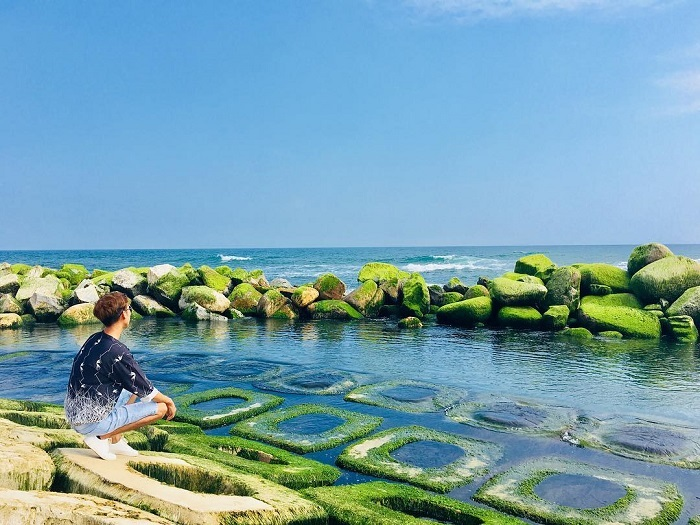 Cinematic beauty of green mossy rocky ground in Phu Yen