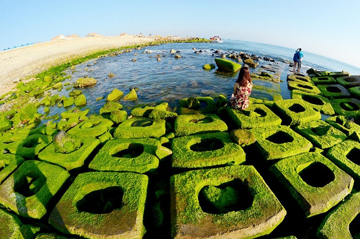 Cinematic beauty of green mossy rocky ground in Phu Yen
