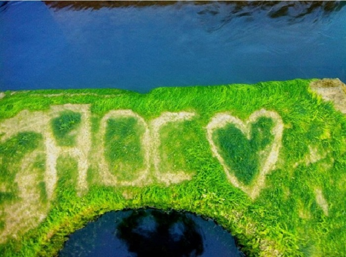 Cinematic beauty of green mossy rocky ground in Phu Yen