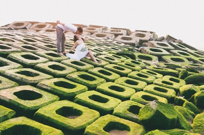 Cinematic beauty of green mossy rocky ground in Phu Yen